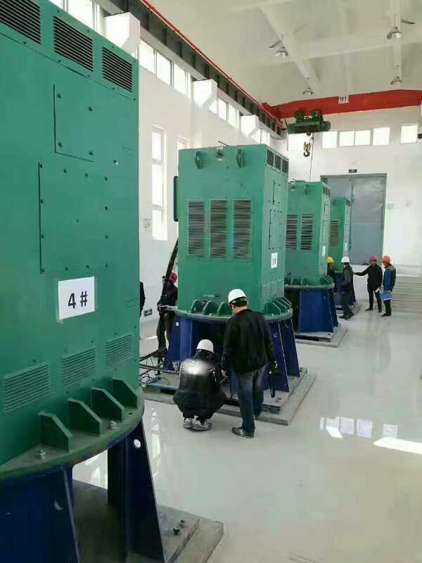 尖峰镇某污水处理厂使用我厂的立式高压电机安装现场