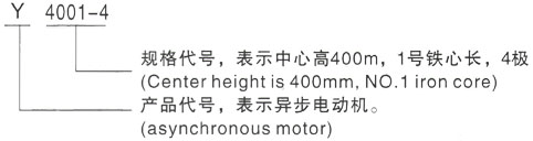 西安泰富西玛Y系列(H355-1000)高压尖峰镇三相异步电机型号说明